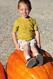 Little Caleb picking out his Pumpkin