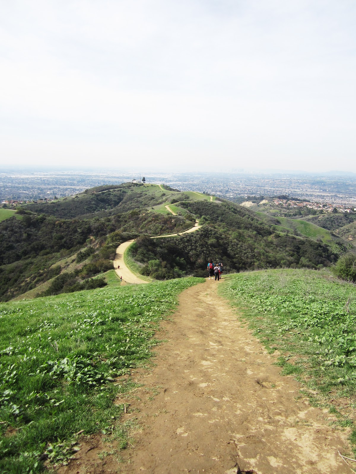 Lilly and the brothers Of Trees and Trails Hellman Wilderness Park