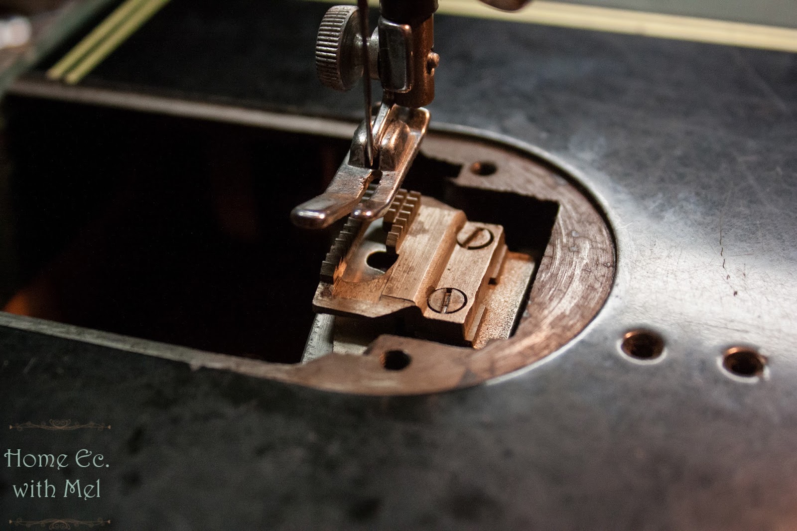 How To Clean Sewing Machine Feed Dogs The Quilting Room with Mel