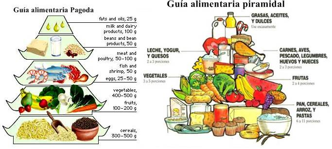 Nutrición humana: suministro de energía, metabolismo basal, composición corporal