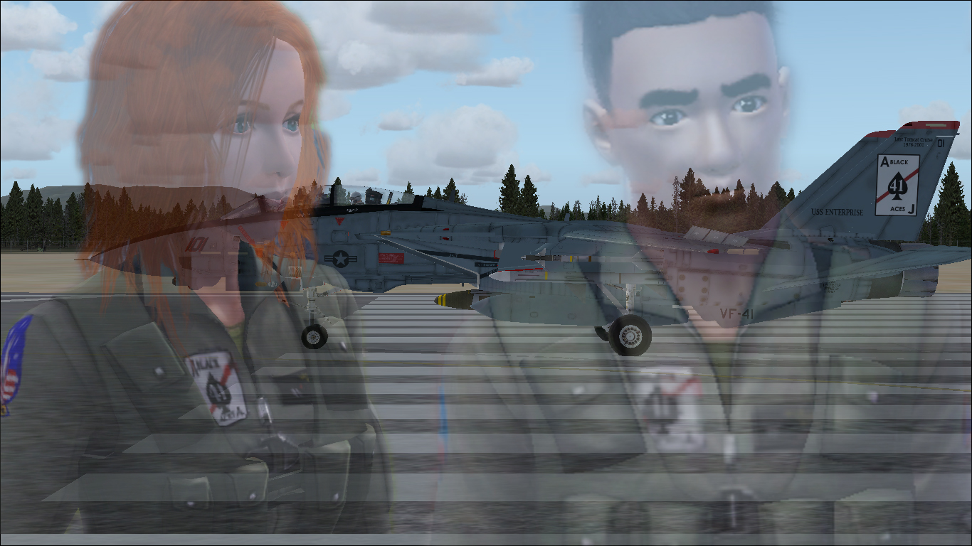 VF-41_F-14_YXX_runway_Animal_Butch2_collage.jpg