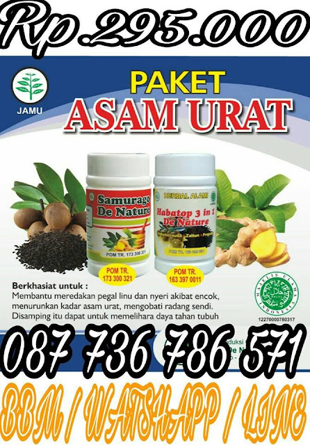 Obat Kolesterol Dan Asam Urat