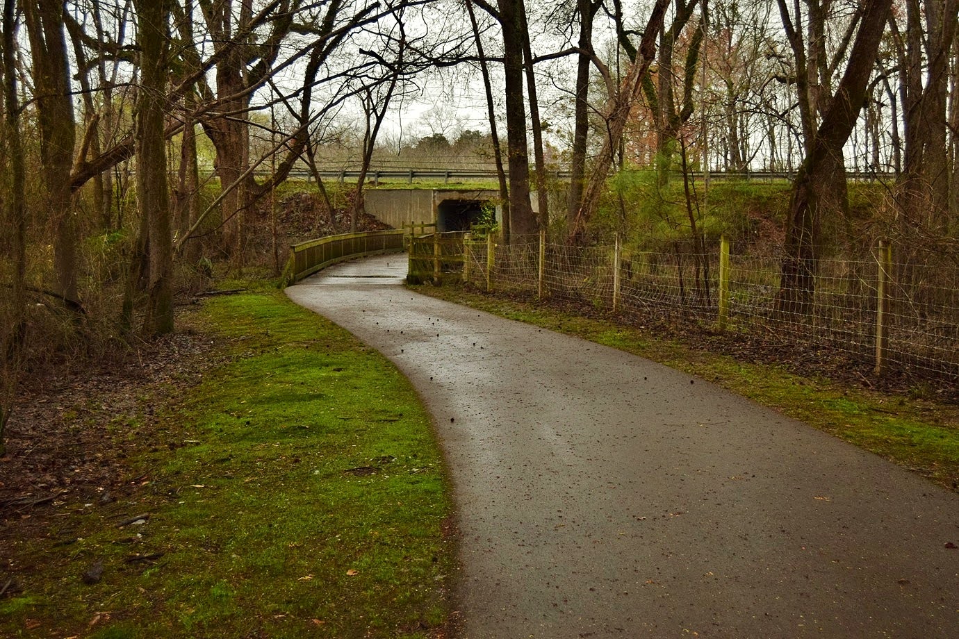 Waterfall Hero Hikes Smithfield Neuse Riverwalk