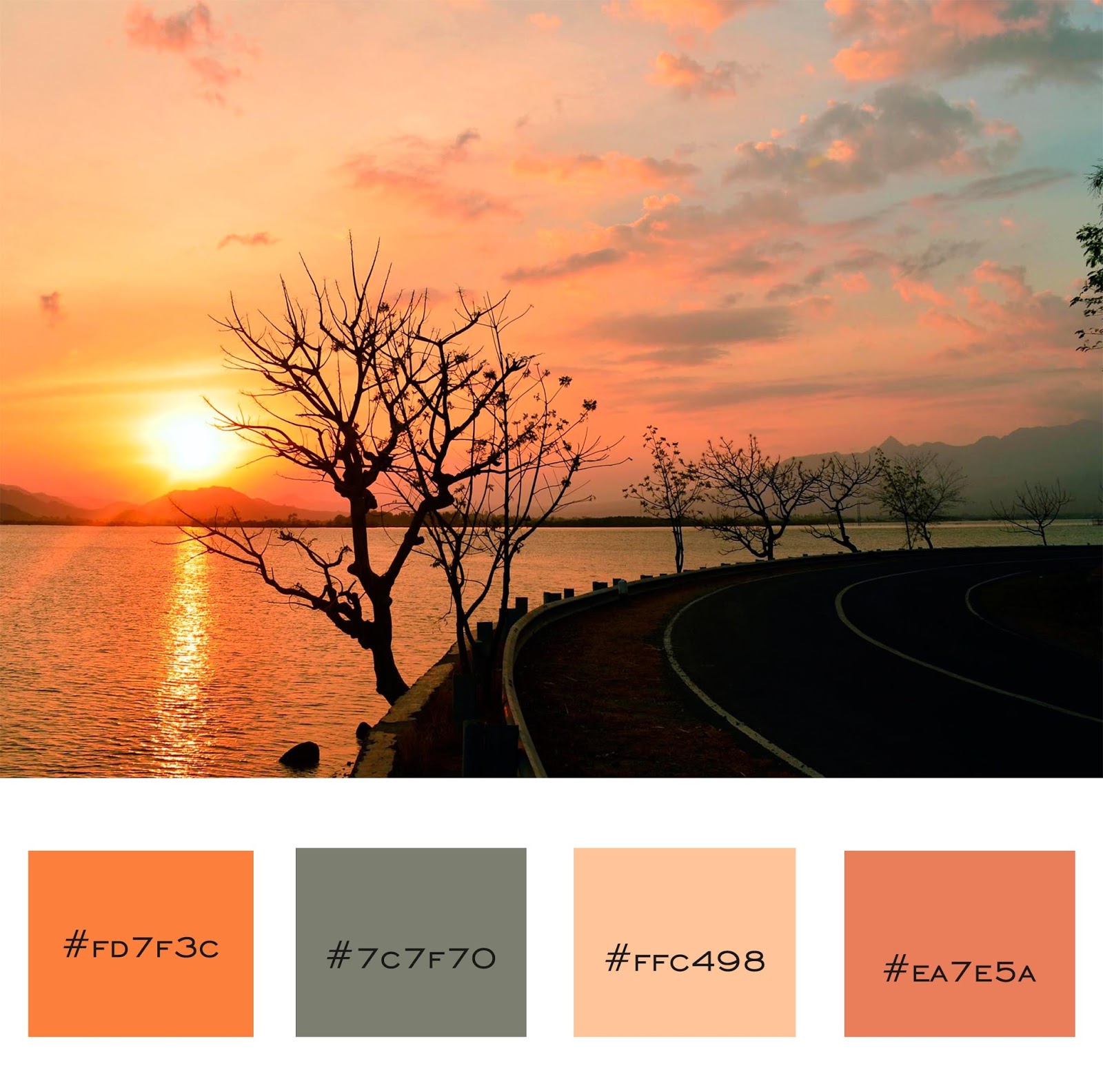 Color Palette Pada