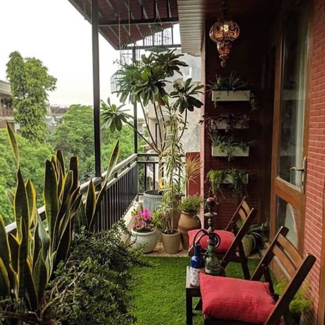 Balcony Garden /Terrace Gardening setup in HYDERABAD at your doorsteps