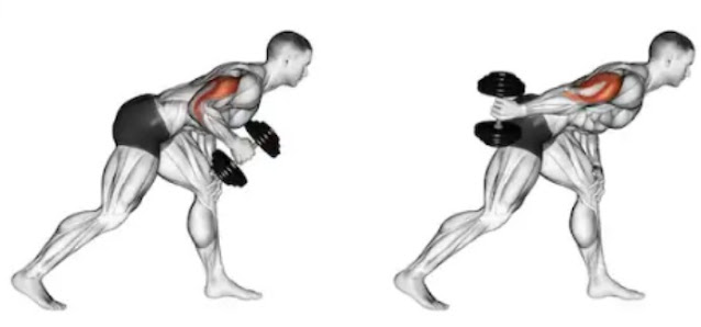 5 Best Home Triceps Dumbbell Exercises to Build Massive Arms