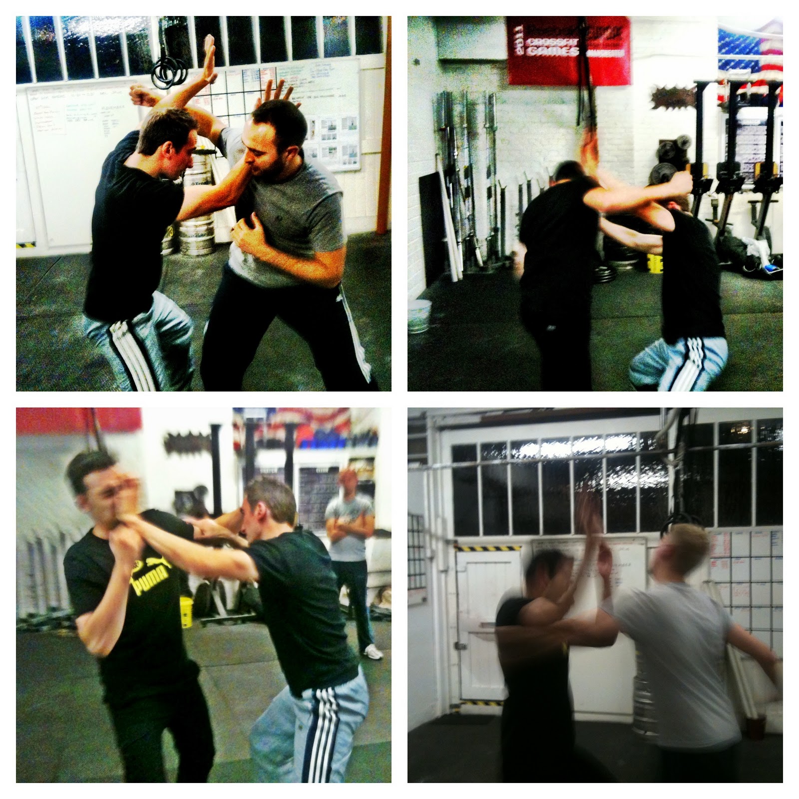 Ski Instructor Verbier Bodyguard Functional Combatives Functional