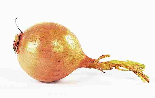 Onion | vegetables name in hindi and english