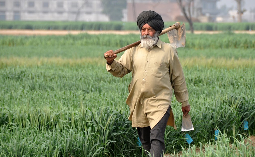 Zamindar or Zimmidar