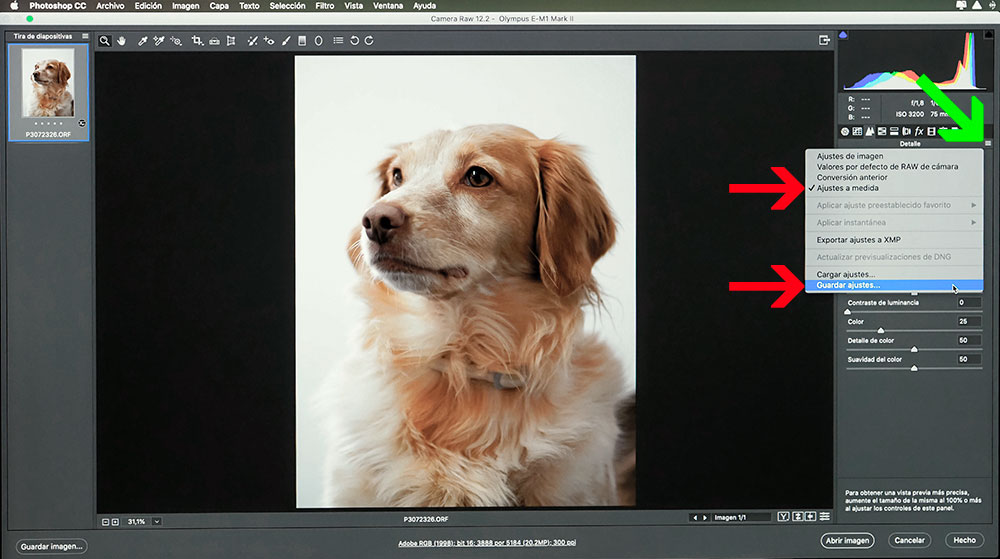 adobe camera raw orf adobe camera raw orf