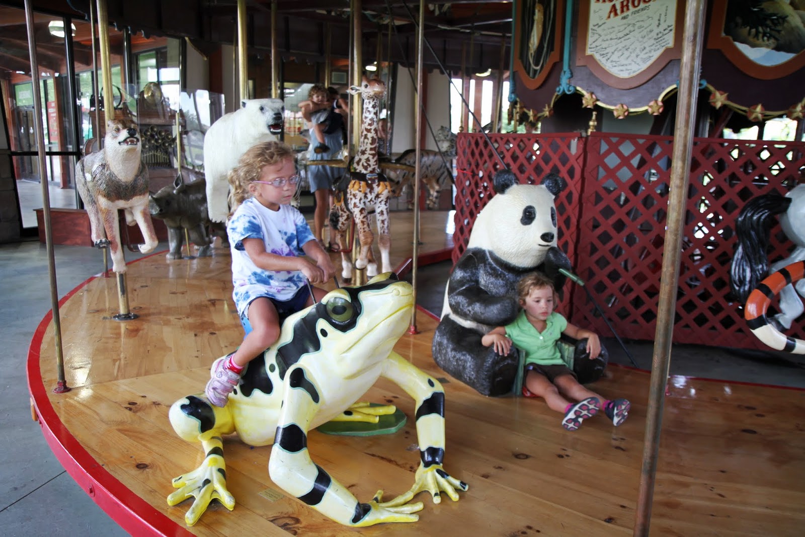 Victoria's Blessings: Chattanooga Zoo