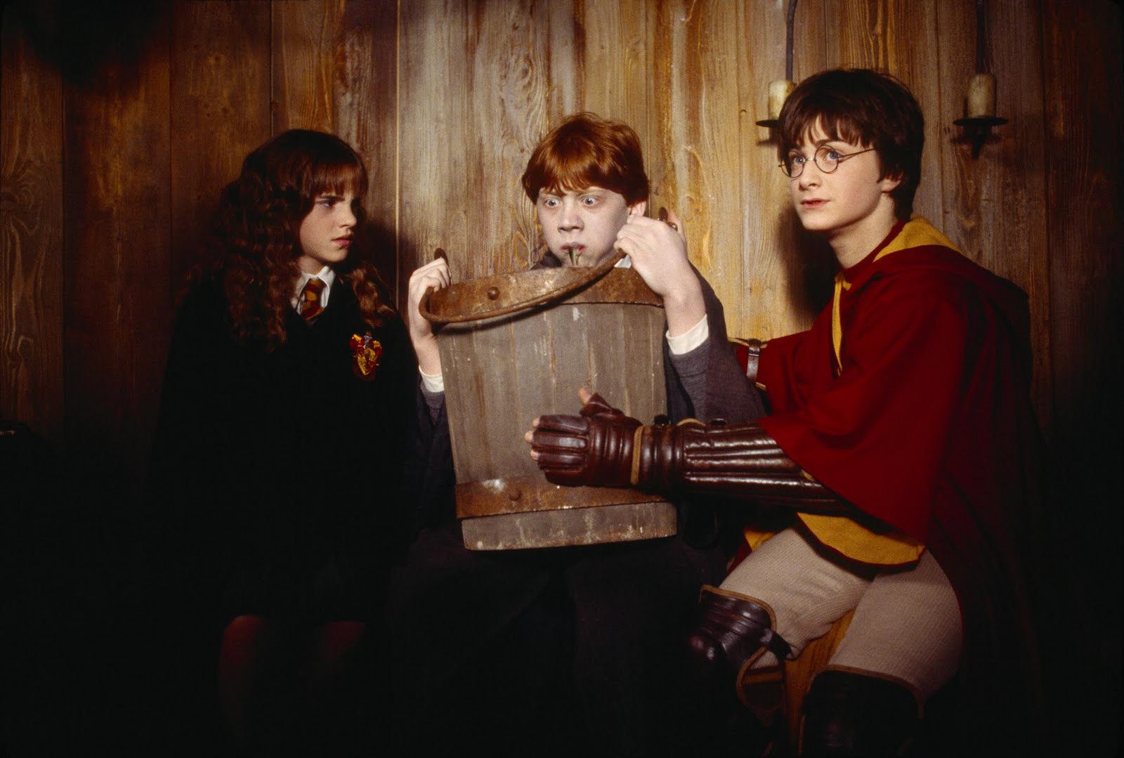 harry potter and the chamber of secrets cast wiki
