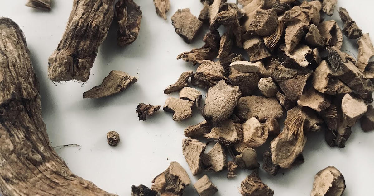 Calamus Root Filipino Conjure & Rootwork