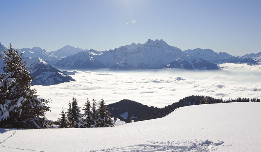 Photo: Skiing 
above the Clouds.