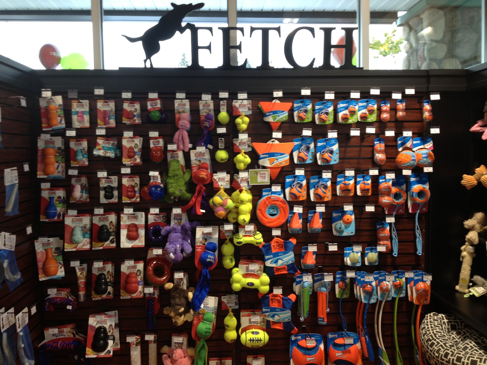 Live at Bosley's Pet Food Plus!