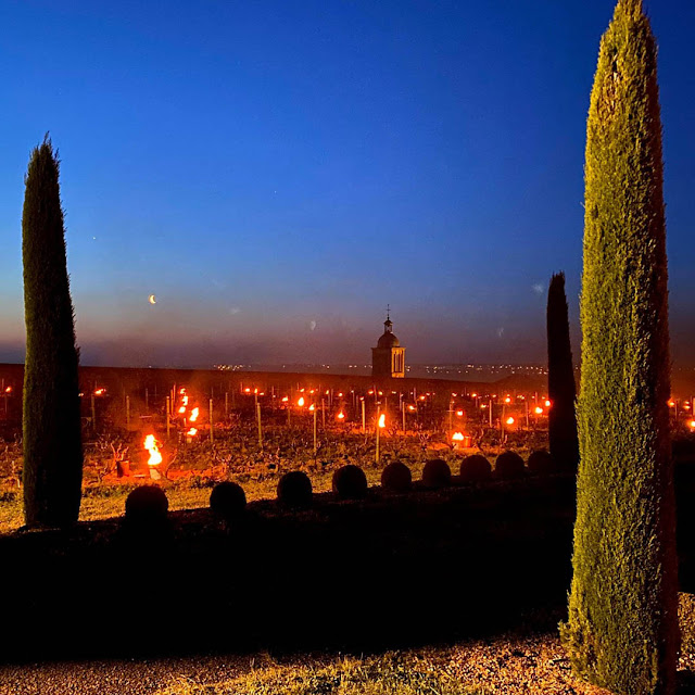 Frost candles in a Vouvray vineyard, Indre et Loire, France.