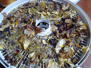 Dehydrated pedals. Step 4:  Run the dehydrator (temperature and times may vary, but continue until pedals are crunchy).