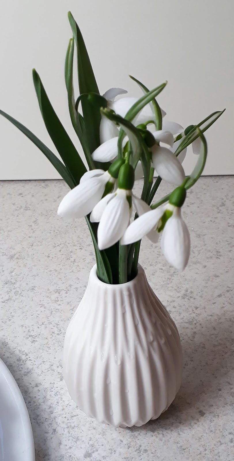 Polnischer Käsekuchen Vol.2 Polnischer Käsekuchen Vol.2