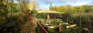 Benwell Nature Park, Newcastle upon Tyne. November 2012