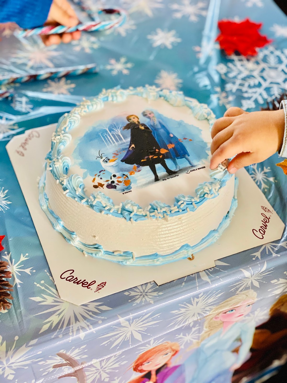 carvel, carvel cake, carvel ice cream, carvel ice cream cake, ice cream cake, frozen 2, frozen 2 cake, mom and sons, mom and boys, mama's boys, celebrate, celebration, latina mom, latina blogger, mom blogger, nyc blogger, nyc mom, brooklyn mom, brooklyn blogger, long island mom, long island blogger,