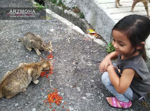 didik anak sayangi haiwan kucing, tips luang waktu bersama anak, aktiviti bersama anak-anak di waktu petang, peranan ibubapa sebagai pendidik,