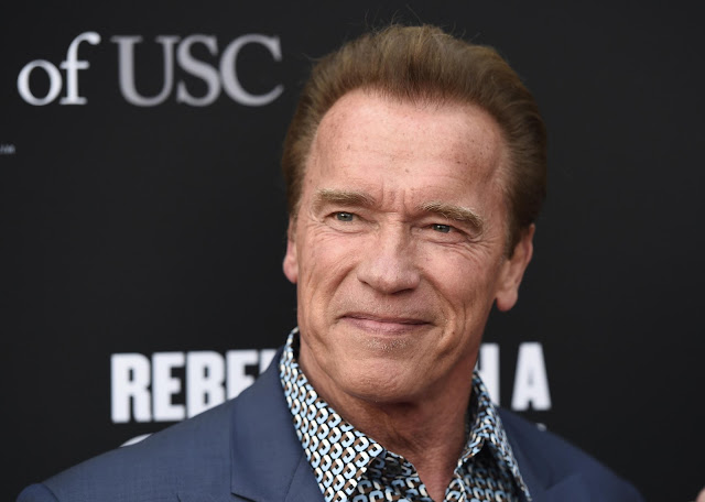 Arnold Schwarzenegger Bodybuilding Motivation Hd Images 