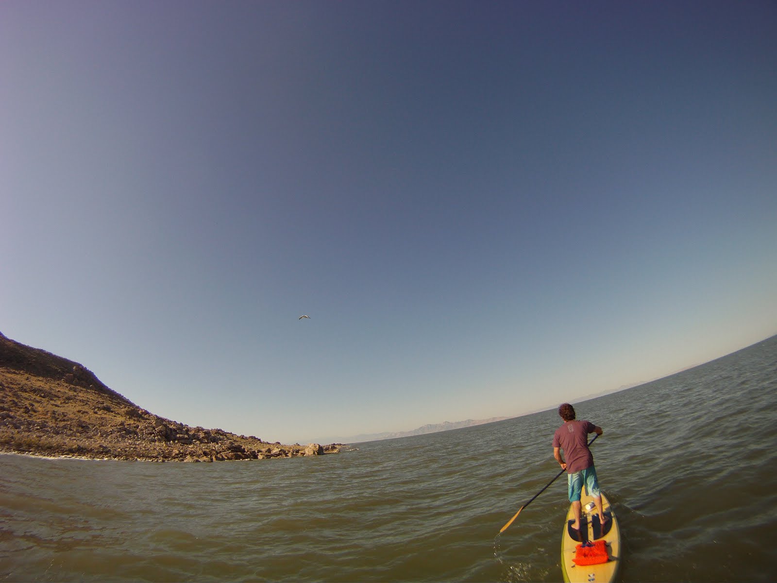 The Salt Lake Surf Blog Stand Up Paddle Boarding on the Great Salt Lake (Antelope Island)