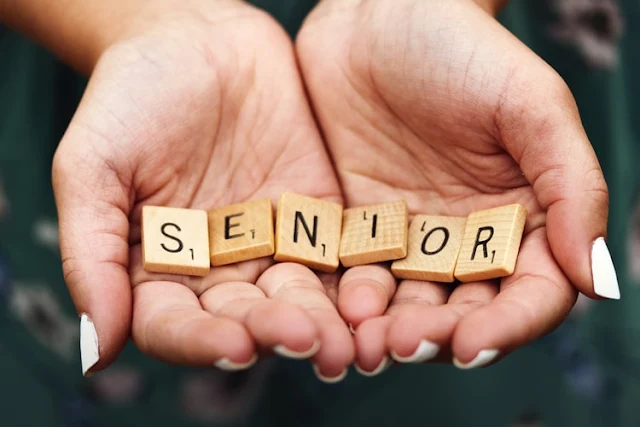 56 Best Senior Blog Names