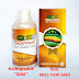 Harga Obat Qnc Jelly Gamat Original di Agen Resmi