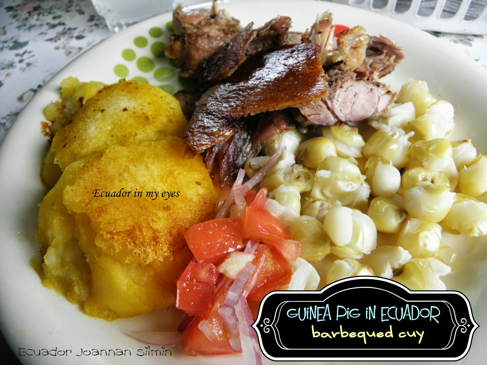Ecuador Joannan silmin Ecuador in my eyes Guineapigs in Ecuador