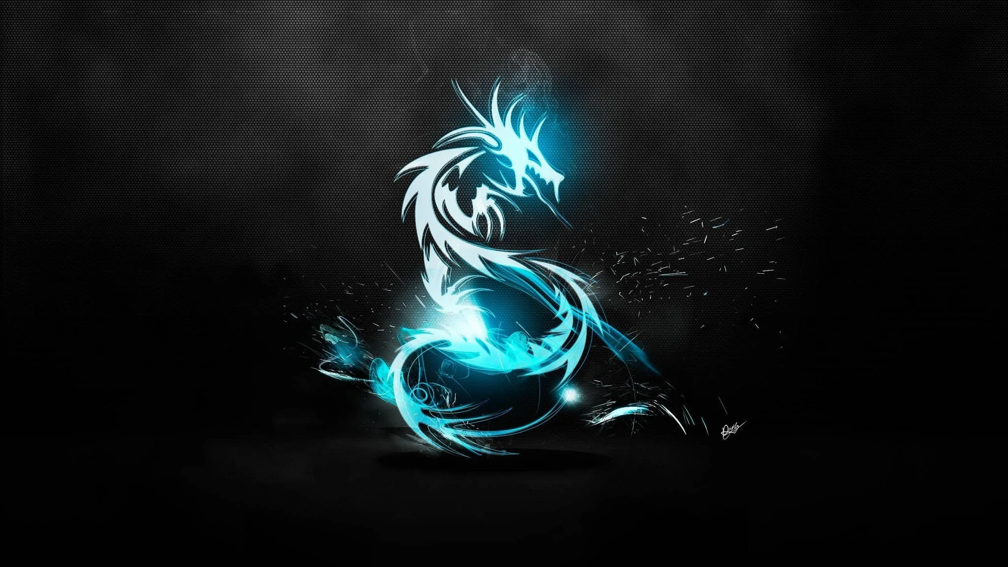 Kali Linux Wallpaper