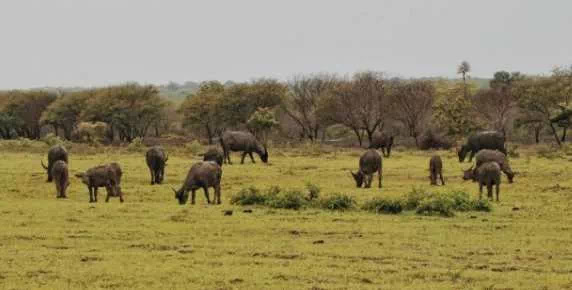 Tempat Wisata di Banyuwangi yang Paling Populer