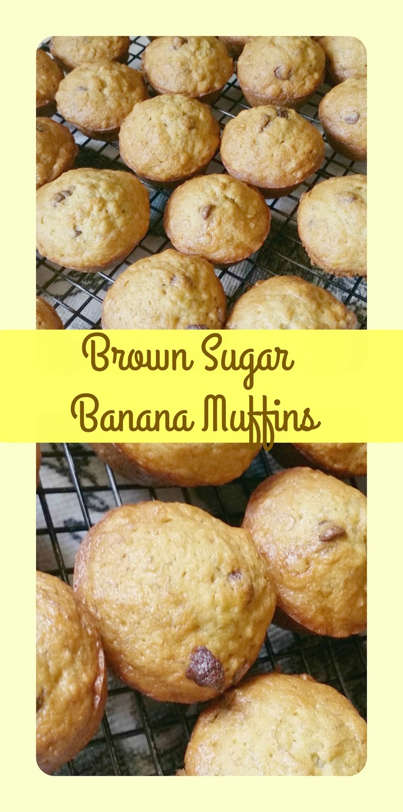 The Better Baker Brown Sugar Banana Muffins (with Choc Chips)