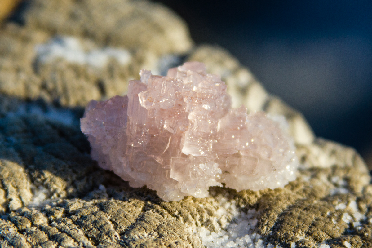 Соль плотная. Поваренная соль минерал. Галит минерал. (Каменная соль (галит) море. Галит минерал в природе.