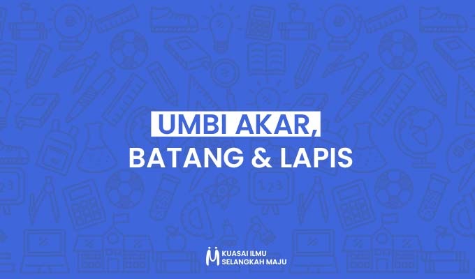 Perbedaan Dan Persamaan Umbi Akar Batang Lapis Mingseli