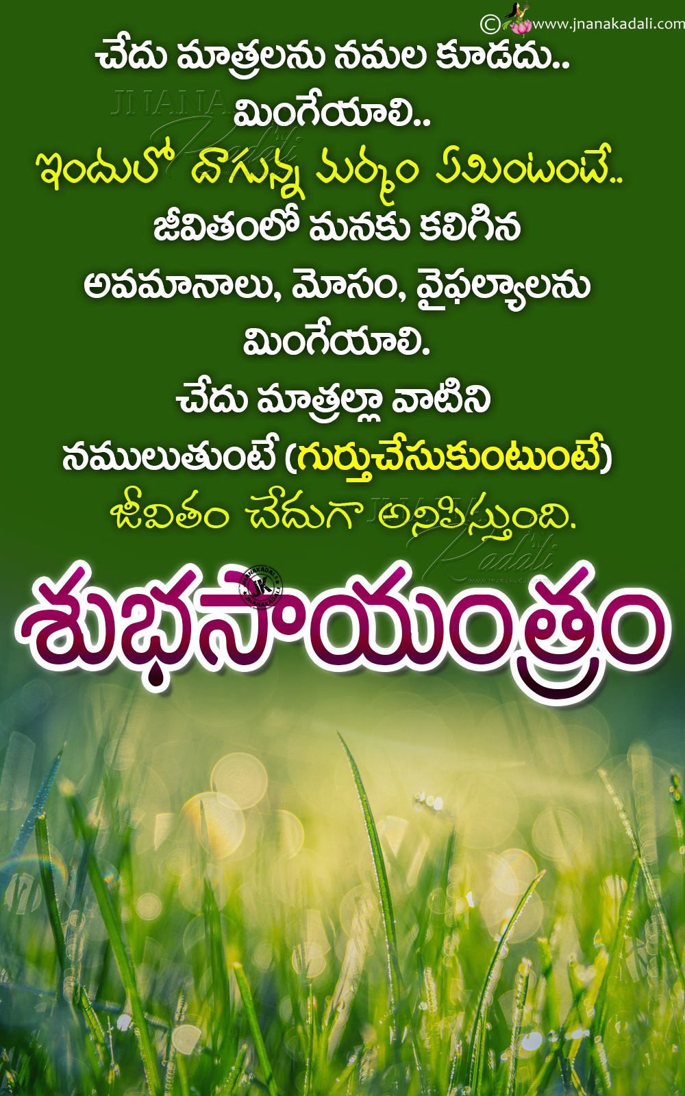 Good Evening Telugu Motivational Words With Hd Wallpapers Best Words On Life In Telugu Brainysms