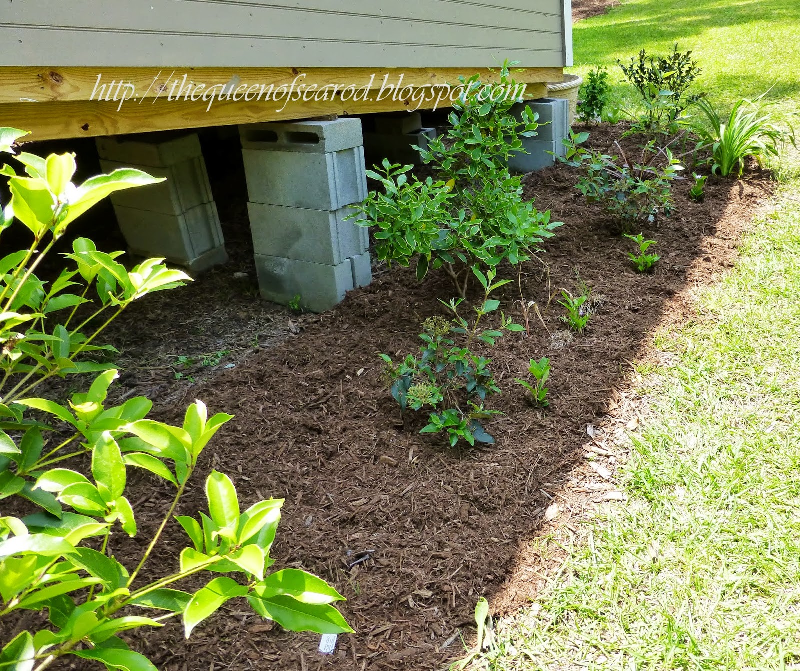 The Queen of Seaford Mulch, Mulch and More Mulch