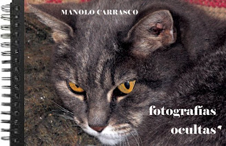 FOTOGRAFÍA: FOTOGRAFÍAS OCULTAS