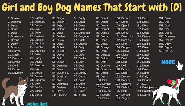 Girl and Boy Dog Names That Start with D