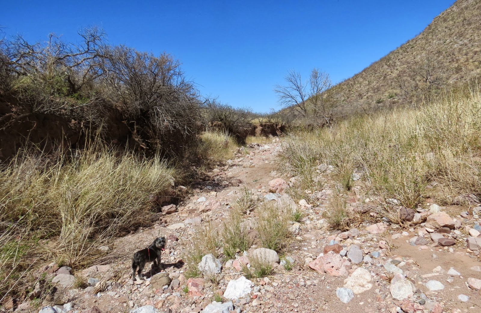 Where's Liz? 2014: Slaughter Ranch, San Bernadino and Leslie Canyon ...