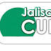 Jalisco Curp gratis Guadalajara Zapopan y Vallarta