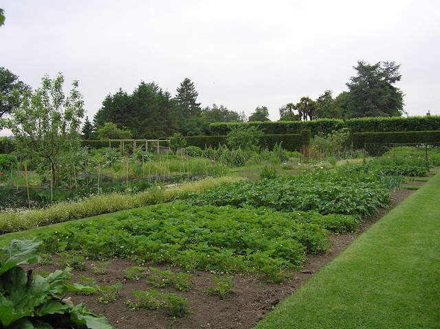 Loseley Park angielski ogród kuchenny, warzywny