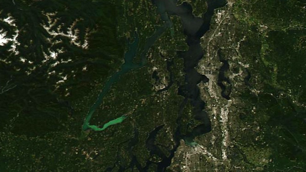 The Energy News Feed “Teal” Waters Return to Parts of Hood Canal (KELA