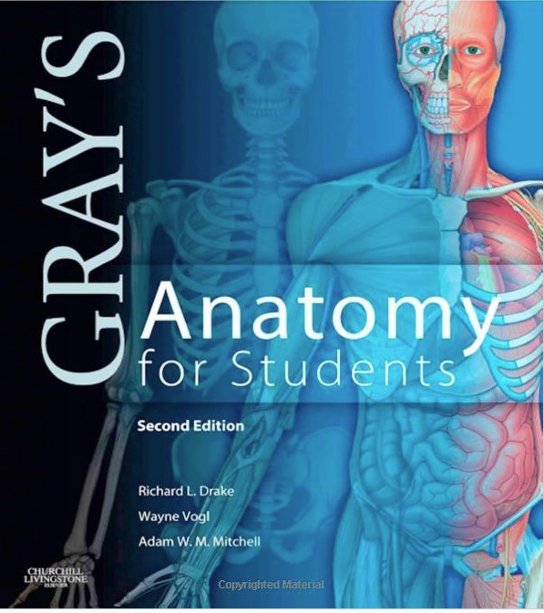 Free Medical Books In All subjects Gray's Anatomy for Students, 2nd