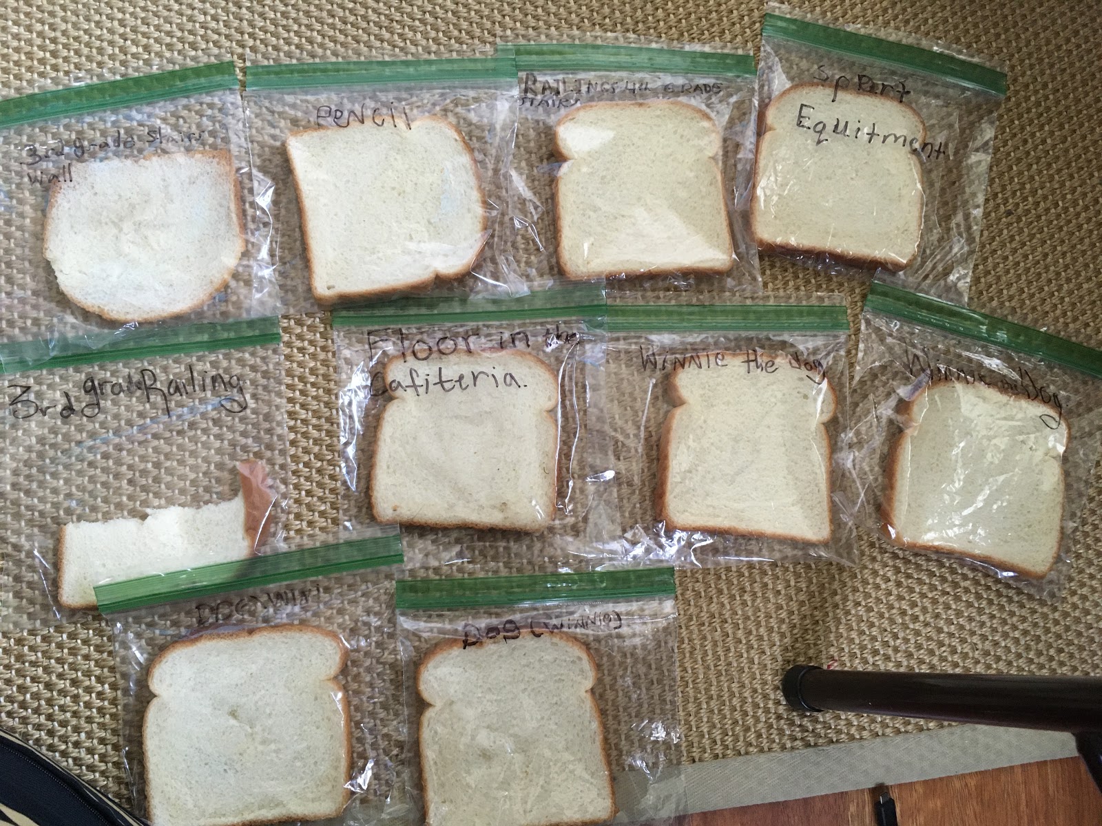 Jeremy and Class: Moldy Bread Experiment