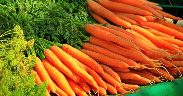 Jenis Jenis Tanaman Sayur Dan Bagian Yang Dapat Dimanfaatkan Punyakamu Com Jenis Jenis Tanaman Sayur Dan Bagian Yang Dapat Dimanfaatkan Punyakamu Com