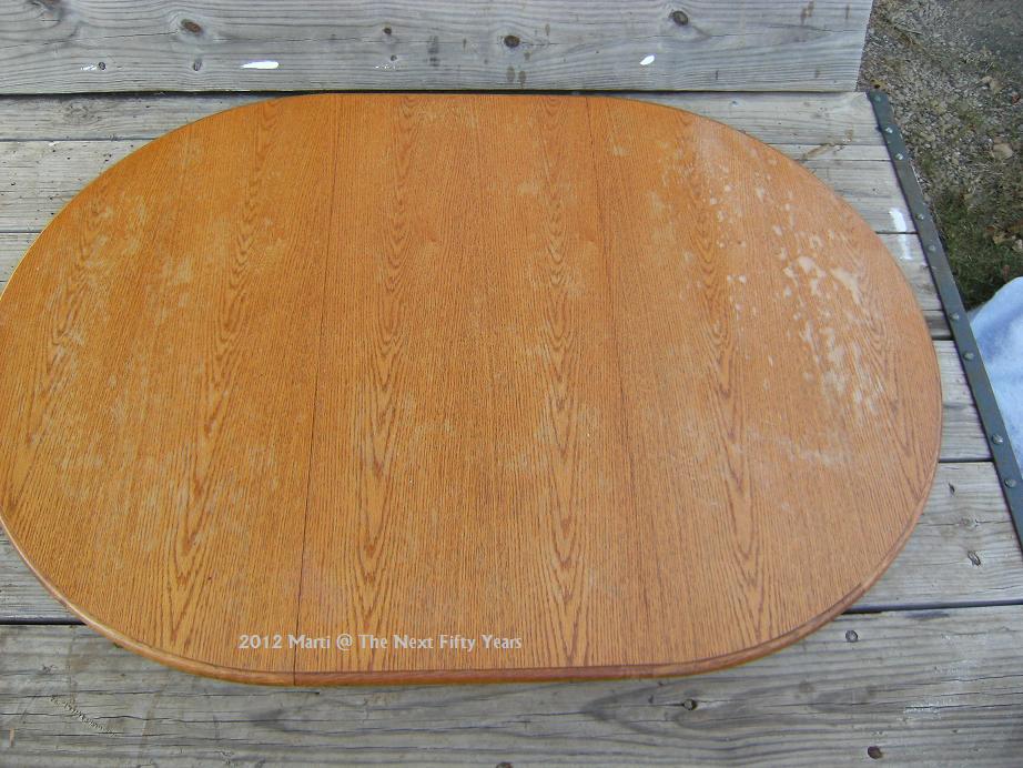 The Next Fifty Years Faux Finished Table Top