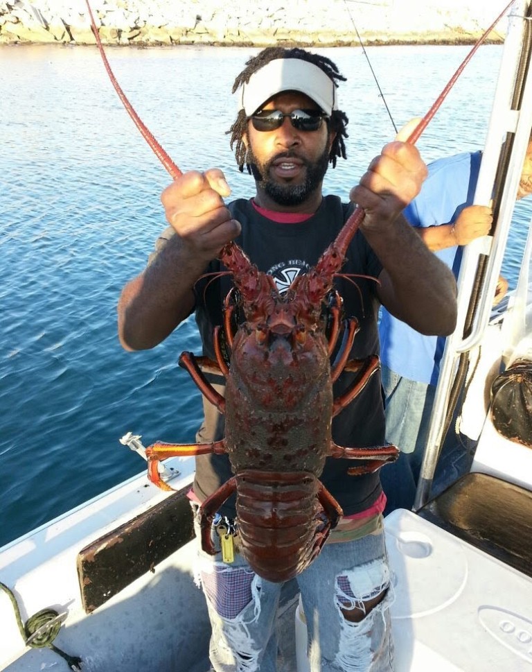 lobster-benefits-during-pregnancy-for-baby-and-mother-live-lobster