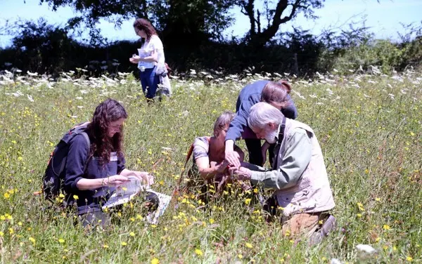 People enjoying Brimpts meadow, near Dartmeet. Photo copyright Wendy Searle (All ighs Reserved)