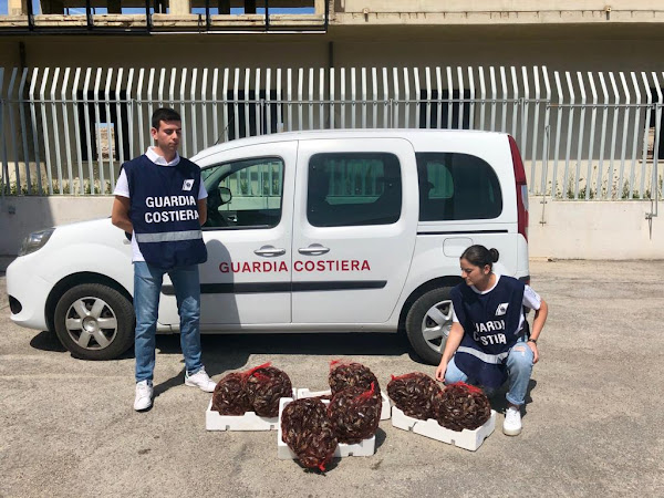 LA GUARDIA COSTIERA DI ORTONA SEQUESTRA UN QUINTALE DI COZZE